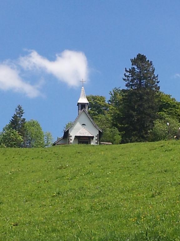 Bergseele Privat- & Retreathotel Schwarzwald Todtnauberg Eksteriør bilde