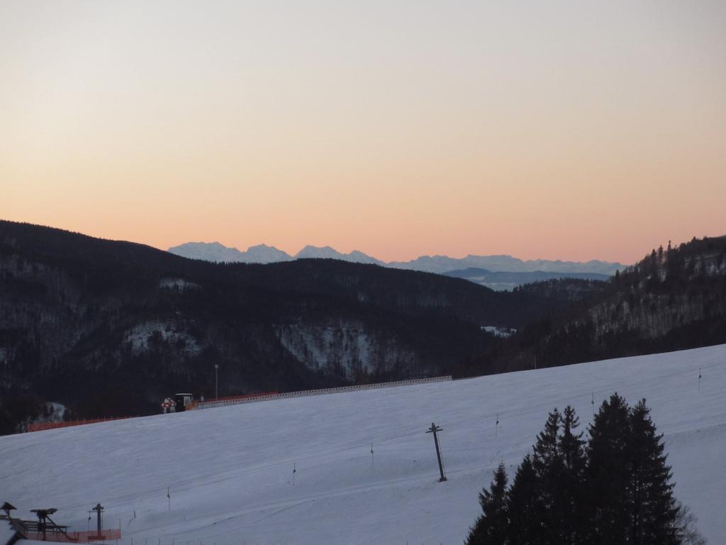 Bergseele Privat- & Retreathotel Schwarzwald Todtnauberg Eksteriør bilde