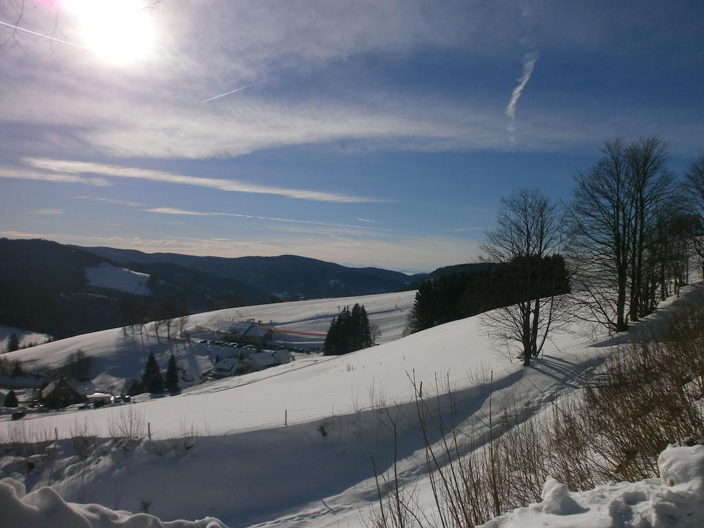 Bergseele Privat- & Retreathotel Schwarzwald Todtnauberg Eksteriør bilde