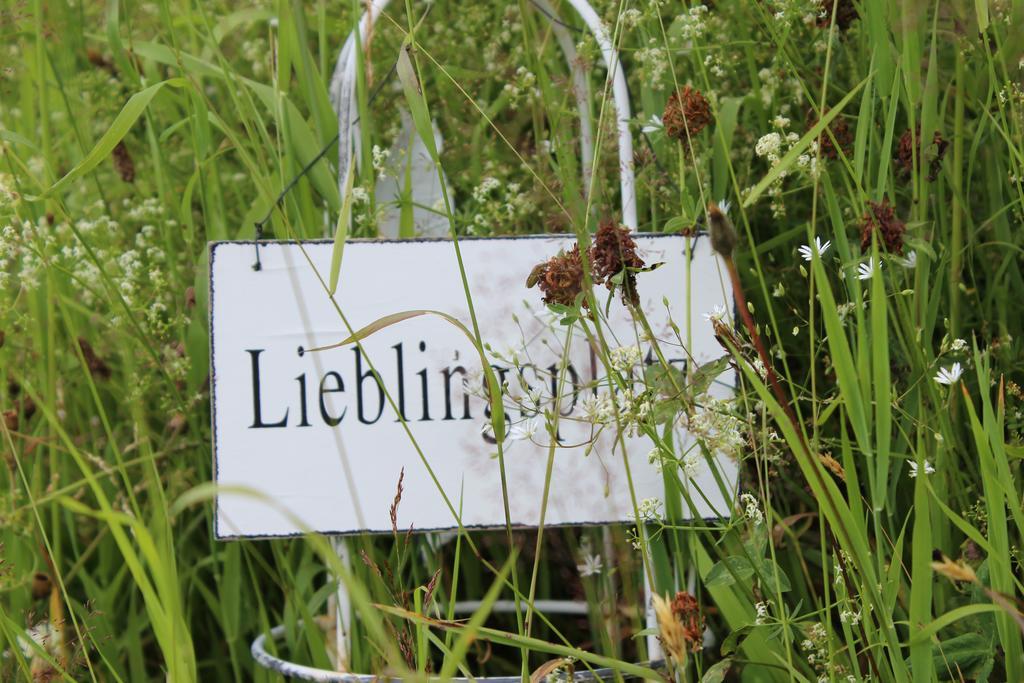 Bergseele Privat- & Retreathotel Schwarzwald Todtnauberg Eksteriør bilde